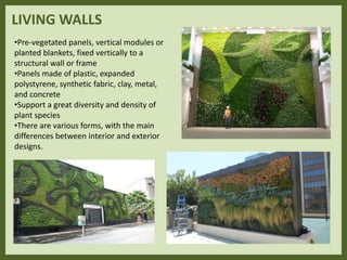 LIVING WALLS
•Pre-vegetated panels, vertical modules or
planted blankets, fixed vertically to a
structural wall or frame
•Panels made of plastic, expanded
polystyrene, synthetic fabric, clay, metal,
and concrete
•Support a great diversity and density of
plant species
•There are various forms, with the main
differences between interior and exterior
designs.
 