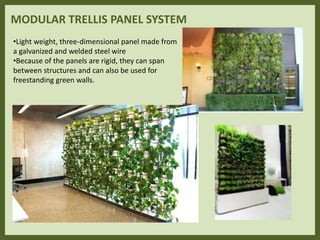 MODULAR TRELLIS PANEL SYSTEM
•Light weight, three-dimensional panel made from
a galvanized and welded steel wire
•Because of the panels are rigid, they can span
between structures and can also be used for
freestanding green walls.
 