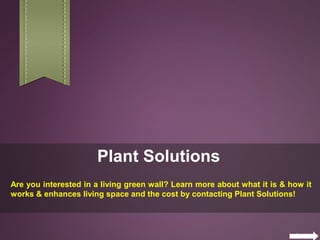 Plant Solutions
Are you interested in a living green wall? Learn more about what it is & how it
works & enhances living space and the cost by contacting Plant Solutions!
 