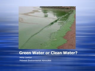 Green Water or Clean Water? ,[object Object],[object Object]