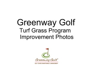 Greenway Golf Turf Grass Program   Improvement Photos 
