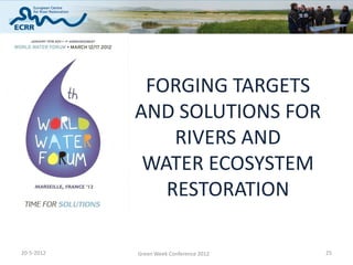 FORGING TARGETS
            AND SOLUTIONS FOR
                RIVERS AND
             WATER ECOSYSTEM
               RESTO...