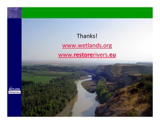 Thanks!
 www.wetlands.org
www.restorerivers.eu
 