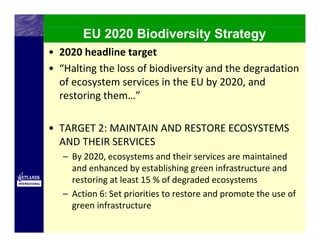EU 2020 Biodiversity Strategy
• 2020 headline target
• “Halting the loss of biodiversity and the degradation 
  of ecosystem services in the EU by 2020, and 
  restoring them…”

• TARGET 2: MAINTAIN AND RESTORE ECOSYSTEMS 
  AND THEIR SERVICES
   – By 2020, ecosystems and their services are maintained 
     and enhanced by establishing green infrastructure and 
     restoring at least 15 % of degraded ecosystems
   – Action 6: Set priorities to restore and promote the use of 
     green infrastructure
 