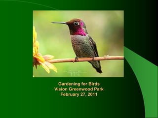 Gardening for BirdsVision Greenwood ParkFebruary 27, 2011,[object Object],                                  ,[object Object]
