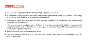 INTRODUCTION:
• The Liver is a vital organ located in the Upper right side of the Abdomen.
• It is one of the largest organs in the human body, weighs approximately 1500g and performs a wide range
of crucial functions essential for maintaining overall health.
• The organ is closely associated with the Small Intestine, processing the nutrient-enriched venous blood
that leaves the digestive tract.
• The Liver is a major metabolic organ only found in vertebrate animals, which performs many essential
biological functions such as Detoxification of the organism and the synthesis of Proteins and Biochemicals
necessary for digestion and growth.
• It consists of both exocrine and endocrine glands.
• The liver filters all of the blood in the body and breaks down poisonous substances, such as
alcohol and drugs.
 
