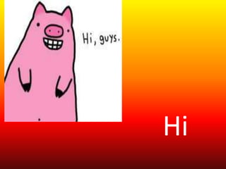 Hi