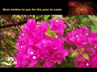 Best wishes to you for the year to come 