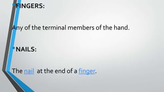 •FINGERS:
Any of the terminal members of the hand.
•NAILS:
The nail at the end of a finger.
 