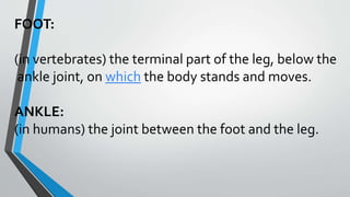 FOOT:
(in vertebrates) the terminal part of the leg, below the
ankle joint, on which the body stands and moves.
ANKLE:
(in humans) the joint between the foot and the leg.
 