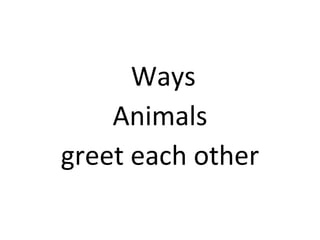 Ways Animals greet each other    