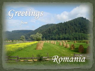 Greetings  from   Romania 