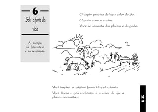 6                                O capim precisa de luz e calor do Sol.
Sol: a fonte da                       O gado come o capim.
                                      Você se alimenta das plantas e do gado.
     vida
  A energia:
 na fotossíntese
e na respiração.




                   Você inspira o oxigênio fornecido pela planta.
                   Você libera o gás carbônico e o calor de que a




                                                                                21
                   planta necessita...
 
