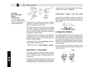 6           Sol: a fonte da vida
                                                                                                   a reprodução etc. Esse processo de liberação de energia,
                                                                                                   análogo ao de queima, é a respiração.


     Luz do Sol
     Que a folha traga e
                                                                                                   material orgânico + oxigênio   → CO2 + H2O + energia
     traduz...
     Em verde novo.                                                                                Essa energia é proveniente da reação de queima dos
                                                                                                   alimentos retirados do meio ambiente, por exemplo das
     A música do Caetano Veloso
                                                                                                   plantas verdes ou de animais como o gado, que come as
     conta um fenômeno que
                                                                                                   plantas verdes.
     acontece no planeta há       A fotossíntese é o processo através do qual os vegetais
     muitos milhões de anos.      produzem o combustível indispensável para a vida da
                                  planta, do homem e de outros animais.

                                  Os vegetais necessitam da luz solar, absorvendo a energia
                                  em reações químicas e armazenando-a em ligações
                                  químicas. É na fotossíntese realizada pelas plantas que
                                  ocorre o primeiro e principal processo de transformação
                                  de energia no ambiente terrestre.
                                                                                                   A energia dos alimentos
                                  Os vegetais que possuem clorofila absorvem energia solar         A quantidade de energia contida em um alimento é medida
                                  e gás carbônico do ar e realizam reações químicas,               pela energia obtida em sua queima. Se queimarmos a
                                  produzindo material orgânico como açúcares, gorduras e           mesma quantidade de pão e amendoim para aquecermos
                                  proteinas, e liberam oxigênio.                                   uma mesma quantidade de água, ao medirmos a
                                                                                                   temperatura da água perceberemos, no final da queima,
                                  A reação química que ocorre na fotossíntese poderia ser          que ela ficará mais aquecida quando utilizamos o amendoim
                                  esquematizada da seguinte forma:                                 como combustível.
                                     H2O + CO2 + luz → material orgânico + oxigênio                O amendoim libera mais energia na queima por conter
                                                                                                   menor quantidade de água e por possuir substâncias mais
                                                                                                   calóricas que o pão.
                                  Fotossíntese e a vida animal
                                  As pessoas e os animais também necessitam de energia
                                  para sua sobrevivência e suas atividades. Não produzimos,
                                  como as plantas ver des, a energia inter na que
                                  armazenamos.
22




                                  Ao ingerirmos o alimento proveniente das plantas, parte
                                  das substâncias entra na constituição celular e parte fornece
                                  a energia necessária às nossas atividades, como o crescimento,
 