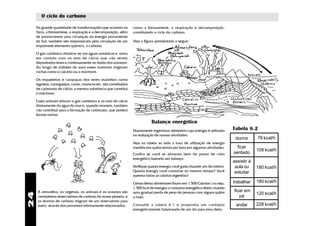 O ciclo do carbono

     Na grande quantidade de transformações que ocorrem na           como a fotossíntese, a respiração e decomposição,
     Terra, a fotossíntese, a respiração e a decomposição, além      constituindo o ciclo do carbono.
     de promoverem uma circulação da energia proveniente
     do Sol, também são responsáveis pela circulação de um           Veja a figura apresentada a seguir:
     importante elemento químico, o carbono.

     O gás carbônico dissolve-se nas águas oceânicas e entra
     em contato com os íons de cálcio que vão sendo
     depositados lenta e continuamente no fundo dos oceanos.
     Ao longo de milhões de anos esses materiais originam
     rochas como o calcário ou o mármore.

     Os esqueletos e carapaças dos seres marinhos como
     lagostas, caranguejos, corais, mariscos etc. são constituídos
     de carbonato de cálcio, a mesma substância que constitui
     o mármore.

     Esses animais retiram o gás carbônico e os íons de cálcio
     diretamente da água do mar e, quando morrem, também
     vão contribuir para a formação de carbonato, que poderá
     formar rochas.
                                                                                 Balanço energético
                                                                     Diariamente ingerimos alimentos cuja energia é utilizada       Tabela 6.2
                                                                     na realização de nossas atividades.
                                                                                                                                     dormir      78 kcal/h
                                                                     Veja na tabela ao lado a taxa de utilização de energia
                                                                     medida em quilocalorias por hora em algumas atividades.          ficar
                                                                                                                                                 108 kcal/h
                                                                     Confira se você se alimenta bem do ponto de vista              sentado
                                                                     energético fazendo um balanço.
                                                                                                                                    assistir à
                                                                     Verifique quanta energia você gasta durante um dia inteiro.     aula ou     180 kcal/h
                                                                     Quanta energia você consome no mesmo tempo? Você                estudar
                                                                     queima todas as calorias ingeridas?

                                                                     Certas dietas alimentares fixam em 1.500 Calorias ( ou seja,   trabalhar    180 kcal/h
                                                                     1.500 kcal de energia) o consumo energético diário visando
      A atmosfera, os vegetais, os animais e os oceanos são          uma gradual perda de peso de pessoas com alguns quilos         ficar em
24




                                                                                                                                                 120 kcal/h
      verdadeiros reservatórios de carbono do nosso planeta, e       a mais.                                                           pé
      os átomos de carbono migram de um reservatório para
      outro, através dos processos intimamente relacionados,         Consulte a tabela 6.1 e proponha um cardápio                    andar       228 kcal/h
                                                                     energeticamente balanceado de um dia para essa dieta.
 