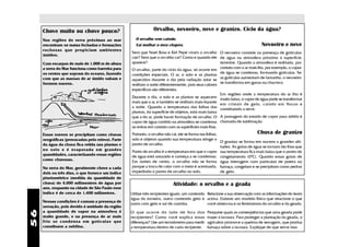 Chove muito ou chove pouco?                                Orvalho, nevoeiro, neve e granizo. Ciclo da água?
     Nas regiões de serra próximas ao mar            O orvalho vem caindo.
     encontram-se matas fechadas e formações         Vai molhar o meu chapéu.                                                   Nevoeiro e neve
     rochosas que propiciam ambientes
                                                   Será que Noel Rosa e Kid Pepe viram o orvalho O nevoeiro consiste na presença de gotículas
     úmidos.
                                                   cair? Será que o orvalho cai? Como e quando ele de água na atmosfera próximo à superfície
     Com escarpas de mais de 1.000 m de altura     aparece?                                            terrestre. Quando a atmosfera é resfriada, por
     a serra do Mar funciona como barreira para                                                        contato com o ar mais frio, por exemplo, o vapor
                                                   O orvalho, parte do ciclo da água, só ocorre em
     os ventos que sopram do oceano, fazendo                                                           de água se condensa, formando gotículas. Se
                                                   condições especiais. O ar, o solo e as plantas
     com que as massas de ar úmido subam e                                                             as gotículas aumentam de tamanho, o nevoeiro
                                                   aquecidos durante o dia pela radiação solar se
     formem nuvens.                                                                                    se transforma em garoa ou chuvisco.
                                                   resfriam à noite diferentemente, pois seus calores
                                                   específicos são diferentes.
                                                                                                       Em regiões onde a temperatura do ar frio é
                                                   Durante o dia, o solo e as plantas se aquecem
                                                                                                       muito baixa, o vapor de água pode se transformar
                                                   mais que o ar, e também se resfriam mais durante
                                                                                                       em cristais de gelo, caindo em flocos e
                                                   a noite. Quando a temperatura das folhas das
                                                                                                       constituindo a neve.
                                                   plantas, da superfície de objetos, está mais baixa
                                     ^
                                                   que a do ar, pode haver formação de orvalho. O A passagem do estado de vapor para sólido é
                                                   vapor de água contido na atmosfera se condensa chamada de sublimação.
                                                   ao entrar em contato com as superfícies mais frias.
     Essas nuvens se precipitam como chuvas        Portanto, o orvalho não cai, ele se forma nas folhas,                      Chuva de granizo
     orográficas (provocadas pelo relevo). Parte   solo e objetos quando sua temperatura atinge o
                                                                                                         O granizo se forma em nuvens a grandes alti-
     da água da chuva fica retida nas plantas e    ponto de orvalho.
                                                                                                         tudes. As gotas de água se tornam tão frias que
     no solo e é evaporada em grandes              Ponto de orvalho é a temperatura em que o vapor sua temperatura fica mais baixa que o ponto de
     quantidades, caracterizando essas regiões     de água está saturado e começa a se condensar. congelamento (00C). Quando essas gotas de
     como chuvosas.                                Em noites de vento, o orvalho não se forma água interagem com partículas de poeira ou
     Na serra do Mar, geralmente chove a cada      porque a troca de calor com o meio é acentuada, fumaça, congelam e se precipitam como pedras
     dois ou três dias, o que fornece um índice    impedindo o ponto de orvalho no solo.                 de gelo.
     pluviométrico (medida da quantidade de
     chuva) de 4.000 milímentros de água por                               Atividade: o orvalho e a geada
     ano, enquanto na cidade de São Paulo esse
     índice é de cerca de 1.400 milímetros.        Utilize três recipientes iguais, um contendo Relacione a sua observação com as informações do texto
                                                   água da torneira, outro contendo gelo e acima. Elabore um modelo físico que relacione o que
     Nessas condições é comum a presença de
                                                   outro com gelo e sal de cozinha.             você observou e os fenômenos do orvalho e da geada.
     serração, pois devido à umidade da região
56




     a quantidade de vapor na atmosfera é          O que ocorre do lado de fora dos            Pesquise quais as conseqüências que uma geada pode
     muito grande, e na presença de ar mais        recipientes? Como você explica essas        trazer à lavoura. Para proteger a plantação da geada, o
     frio se condensa em gotículas que             diferenças? Use um termômetro para medir    agricultor promove a queima de serragem, que produz
     constituem a neblina.                         a temperatura dentro de cada recipente.     fumaça sobre a lavoura. Explique de que serve isso.
 