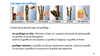 Les types de greffage:
Il existe deux grands types de greffage :
- Les greffages en tête, Chercher à fixer sur la partie terminale du porte greffe
un greffon muni de bourgeons.
Comme la greffe en incrustation, la greffe à l'anglaise, la greffe en fente.
- greffages latérales, La greffe se fait par perforation latérale. Comme la greffe
en écusson, la greffe en couronne et la greffe par approche.
4
 