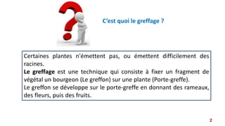C’est quoi le greffage ?
Certaines plantes n'émettent pas, ou émettent difficilement des
racines.
Le greffage est une technique qui consiste à fixer un fragment de
végétal un bourgeon (Le greffon) sur une plante (Porte-greffe).
Le greffon se développe sur le porte-greffe en donnant des rameaux,
des fleurs, puis des fruits.
2
 