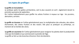 La greffe en couronne On l’utilise généralement pout revigorer les plantes dont la productivité
n’est pas formidable et qui commencent à prendre de l’âge.
La greffe se fait sur des branches d’environ 15cm de diamètre.
La greffe en écusson on l’utilise généralement pour la multiplication des arbustes, des arbres
d’ornement, des arbres fruitiers et des rosiers. Elle peut se pratiquer au printemps, au
moment de la montée des sèves.
La greffe en incrustation :
se pratique après les gelées printanières, soit le plus souvent en avril ; également durant la
première quinzaine de septembre.
On l'utilise habituellement pour greffer les arbres fruitiers à noyaux sur tige : les pruniers,
abricotiers, cerisiers
5
Les types de greffage:
 