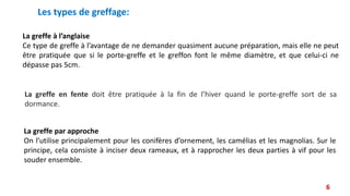 La greffe à l’anglaise
Ce type de greffe à l’avantage de ne demander quasiment aucune préparation, mais elle ne peut
être pratiquée que si le porte-greffe et le greffon font le même diamètre, et que celui-ci ne
dépasse pas 5cm.
La greffe par approche
On l’utilise principalement pour les conifères d’ornement, les camélias et les magnolias. Sur le
principe, cela consiste à inciser deux rameaux, et à rapprocher les deux parties à vif pour les
souder ensemble.
La greffe en fente doit être pratiquée à la fin de l’hiver quand le porte-greffe sort de sa
dormance.
6
Les types de greffage:
 