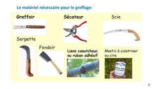 Le matériel nécessaire pour le greffage:
7
 