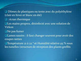  Dômes de plastiques ou tente avec du polyéthylène
(clair en hiver et blanc en été)
 : écran thermique
Les mains propres, désinfecté avec une solution de
Virkon
Ne pas fumer
Lames rasoirs : il faut changer souvent pour avoir des
coupes nettes
Température 21 à 22 ° et Humidité relative 95 % sous
les tunelles (structure de réception des plants greffés


                                                          24
 