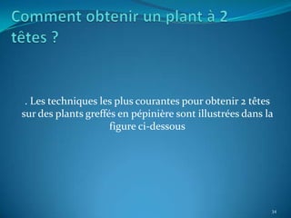 . Les techniques les plus courantes pour obtenir 2 têtes
sur des plants greffés en pépinière sont illustrées dans la
                     figure ci-dessous




                                                          34
 
