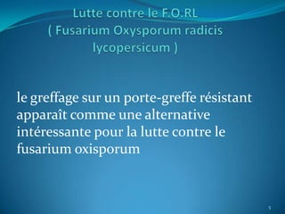 le greffage sur un porte-greffe résistant
apparaît comme une alternative
intéressante pour la lutte contre le
fusarium oxisporum


                                            5
 