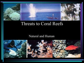 Threats to Coral Reefs

    Natural and Human
 
