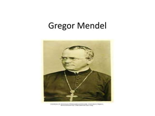 Gregor Mendel
 
