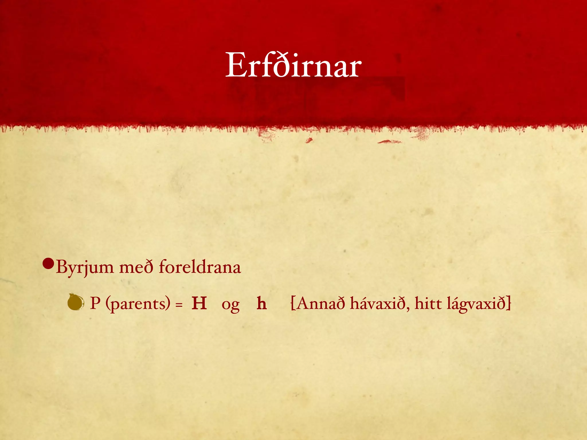 Erfðirnar Byrjum með foreldrana P (parents) =  H   og  h   [Annað hávaxið, hitt lágvaxið] 