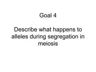 Goal 4 Describe what happens to alleles during segregation in meiosis 