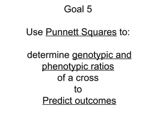 Goal 5 Use  Punnett Squares  to:  determine  genotypic and phenotypic ratios of a cross to   Predict outcomes 