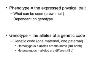 Phenotype = the expressed physical trait What can be seen (brown hair) Dependent on genotype Genotype = the alleles of a genetic code Genetic code (one maternal, one paternal) Homozygous = alleles are the same (BB or bb) Heterozygous = alleles are different (Bb) 