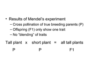 Results of Mendel’s experiment Cross pollination of true breeding parents (P) Offspring (F1) only show one trait No “blending” of traits Tall plant  x  short plant  =  all tall plants P  P  F1 