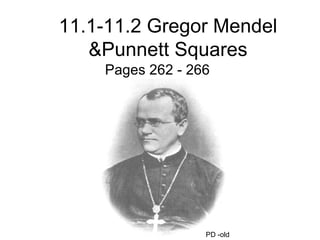 11.1-11.2 Gregor Mendel &Punnett Squares Pages 262 - 266 PD -old 