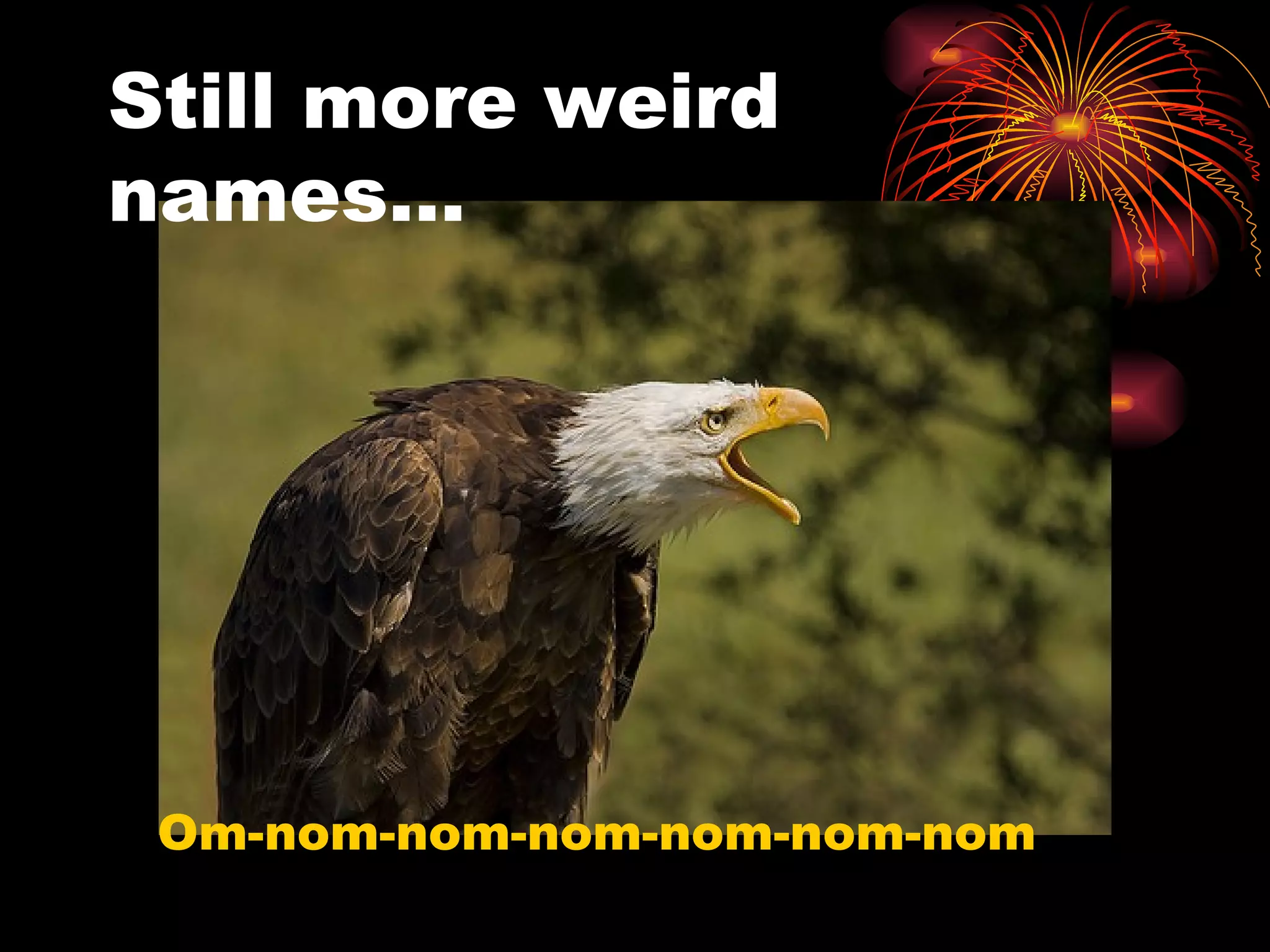 Still more weird names… Om-nom-nom-nom-nom-nom-nom 