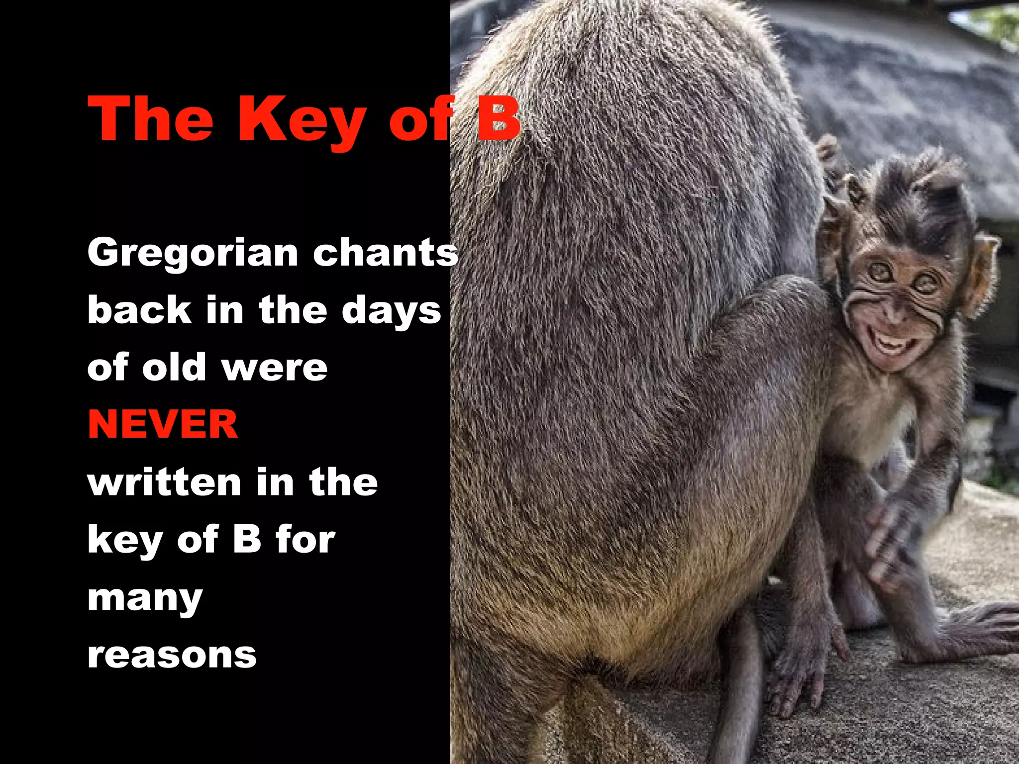The Key of B Gregorian chants  back in the days  of old were  NEVER written in the  key of B for  many  reasons 