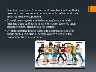  Otro tipo de metamorfosis es cuando cambiamos de actitud y
de emociones que no son nada agradables a los demás y a
veces se vuelve insoportable.
 Con esto concluyo de que todos en algún momento de
nuestras vidas sufrimos una transformación teniendo tipos
de sentimientos, provocando reacciones.
 Un claro ejemplo de esto es la adolescencia que aquí es
donde cada quien elige el camino que va a seguir y las
consecuencias que afrontaran.
 