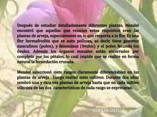 Después de estudiar detalladamente diferentes plantas, Mendel  encontró que aquellas que reunían estos requisitos eran las plantas de arveja, especialmente en lo que respecta a la flor. Es una flor hermafrodita que se auto poliniza, es decir, tiene gametos masculinos (polen), y femeninos (óvulos) y el polen fecunda los óvulos. Además los órganos sexuales están encerrados por completo por los pétalos, lo cual impide que se realice en forma natural la fecundación cruzada.Mendel seleccionó siete rasgos claramente diferenciables en las plantas de arveja . Luego realizó siete cultivos. Durante dos años sembró una y otra vez plantas de arveja hasta que en cada cultivo sólo una de las dos  características de cada rasgo se expresaran.HERNAN ORTIZ T.