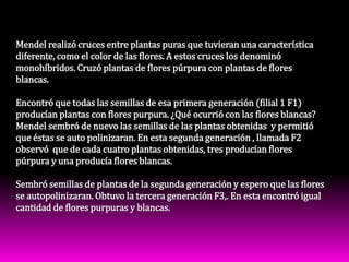 Mendel realizó cruces entre plantas puras que tuvieran una característica  diferente, como el color de las flores. A estos cruces los denominó monohíbridos. Cruzó plantas de flores púrpura con plantas de flores blancas.Encontró que todas las semillas de esa primera generación (filial 1 F1)  producían plantas con flores purpura. ¿Qué ocurrió con las flores blancas?Mendel sembró de nuevo las semillas de las plantas obtenidas  y permitió que éstas se auto polinizaran. En esta segunda generación , llamada F2 observó  que de cada cuatro plantas obtenidas, tres producían flores púrpura y una producía flores blancas.Sembró semillas de plantas de la segunda generación y espero que las flores se autopolinizaran. Obtuvo la tercera generación F3,. En esta encontró igual cantidad de flores purpuras y blancas.