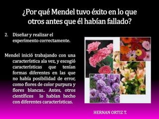 ¿Por qué Mendel tuvo éxito en lo que otros antes que él habían fallado?Diseñar y realizar el experimento correctamente.Mendel inició trabajando con una característica ala vez, y escogió características que tenían formas diferentes en las que no había posibilidad de error, como flores de color purpura y flores blancas.. Antes, otros científicos  lo habían hecho con diferentes características.HERNAN ORTIZ T.