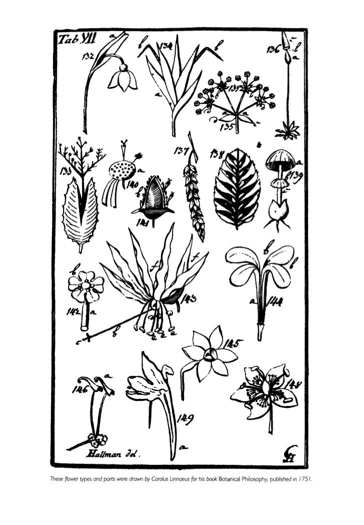 Short essay on gregor mendel