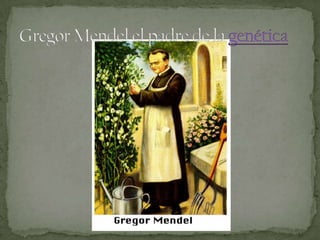 Gregor Mendel el padre de la genética 