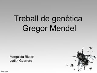 Treball de genètica
    Gregor Mendel


Margalida Riutort
Judith Guerrero
 