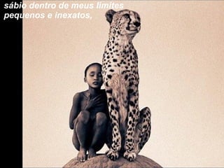 sábio dentro de meus limites pequenos e inexatos, 