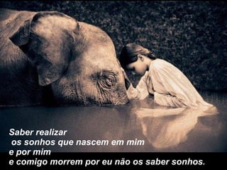 Saber realizar os sonhos que nascem em mim e por mim e comigo morrem por eu não os saber sonhos. 