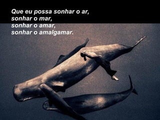 Que eu possa sonhar o ar, sonhar o mar, sonhar o amar, sonhar o amalgamar. 