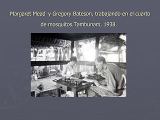Margaret Mead   y Gregory Bateson, trabajando en el cuarto de mosquitos.Tambunam, 1938.   