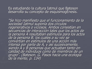 Es estudiando la cultura Iatmul que Bateson desarrolla su concepto de esquismogénesis. “ Se hizo manifiesto que el funcionamiento de la sociedad Iatmul suponía dos círculos regenerativos o viciosos. Ambos consistían en secuencias de interacción tales que los actos de la persona A resultaban estímulos para los actos de la persona B, los cuales a su vez se convertían en estímulos de una acción más intensa por parte de A, y así sucesivamente, siendo A y B personas que actuaban tanto en calidad de individuos como de miembros de un grupo”. (Bateson, G. Pasos hacia una ecología de la mente, p. 134) 